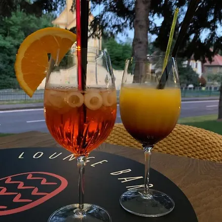 Parkhotel Carlsbad Dalovice