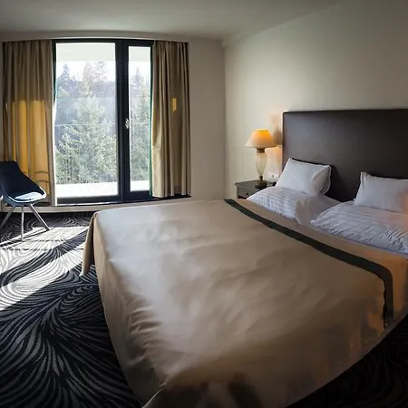 Otel Parkhotel Carlsbad Dalovice